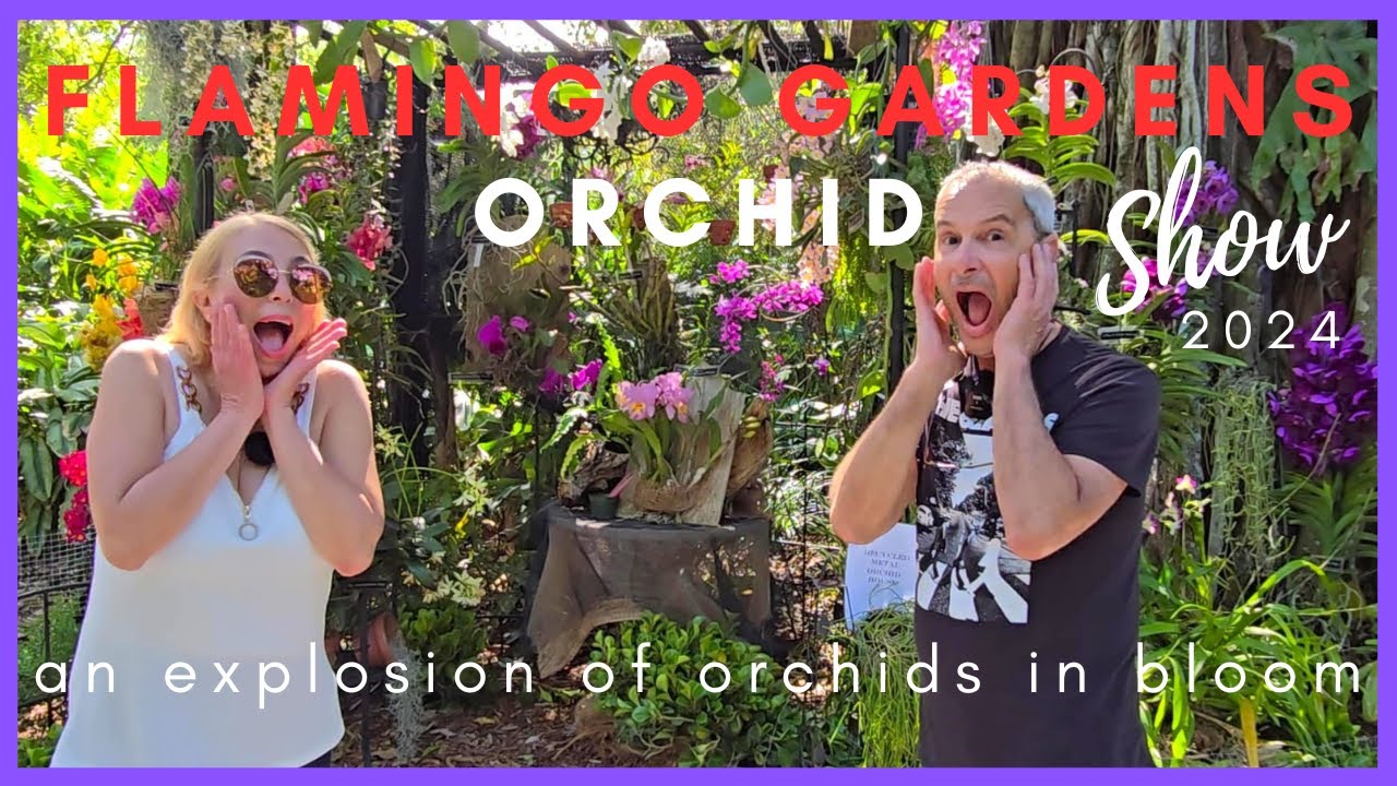 Flamingo Gardens 42nd Annual International Orchid Show 2024.