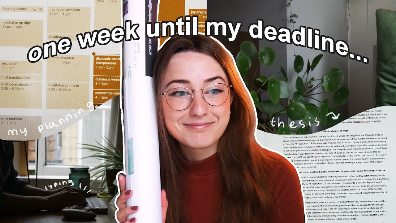 a week in my life finishing my thesis for harvard ☕