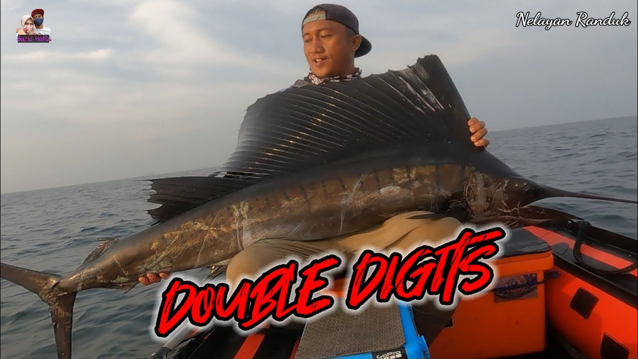 VLOG157 - UNLOCK NEW SPECIES IKAN LAYARAN - MONSTER SAILFISH