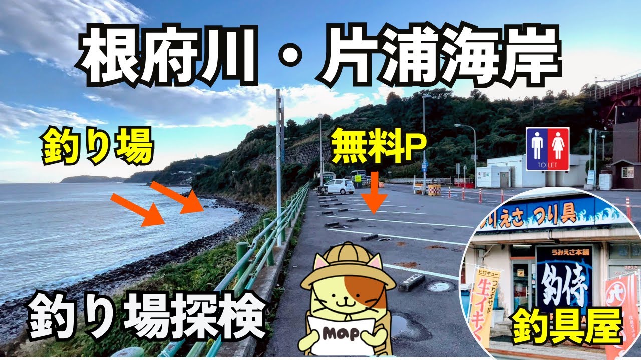 小田原市根府川「片浦海岸」釣り場探検｜無料駐車場、トイレ完備、釣具屋「釣侍」隣接、キャンプ場前に好磯場・根府川大根。釣りのための条件が揃い過ぎている恐ろしい釣り場。しかし・・