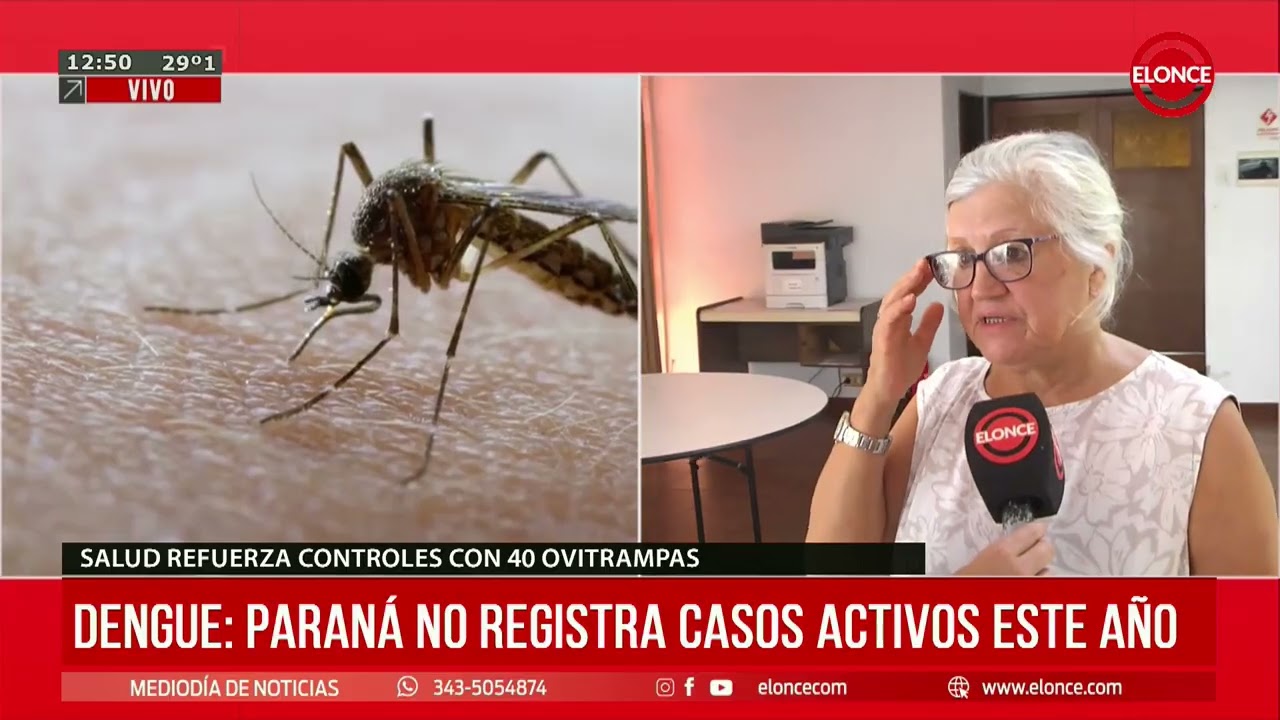Dengue: Paraná no registra casos activos este año - Elonce
