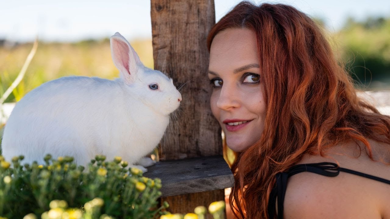 Лісан - Пісня про зайців | Official Video