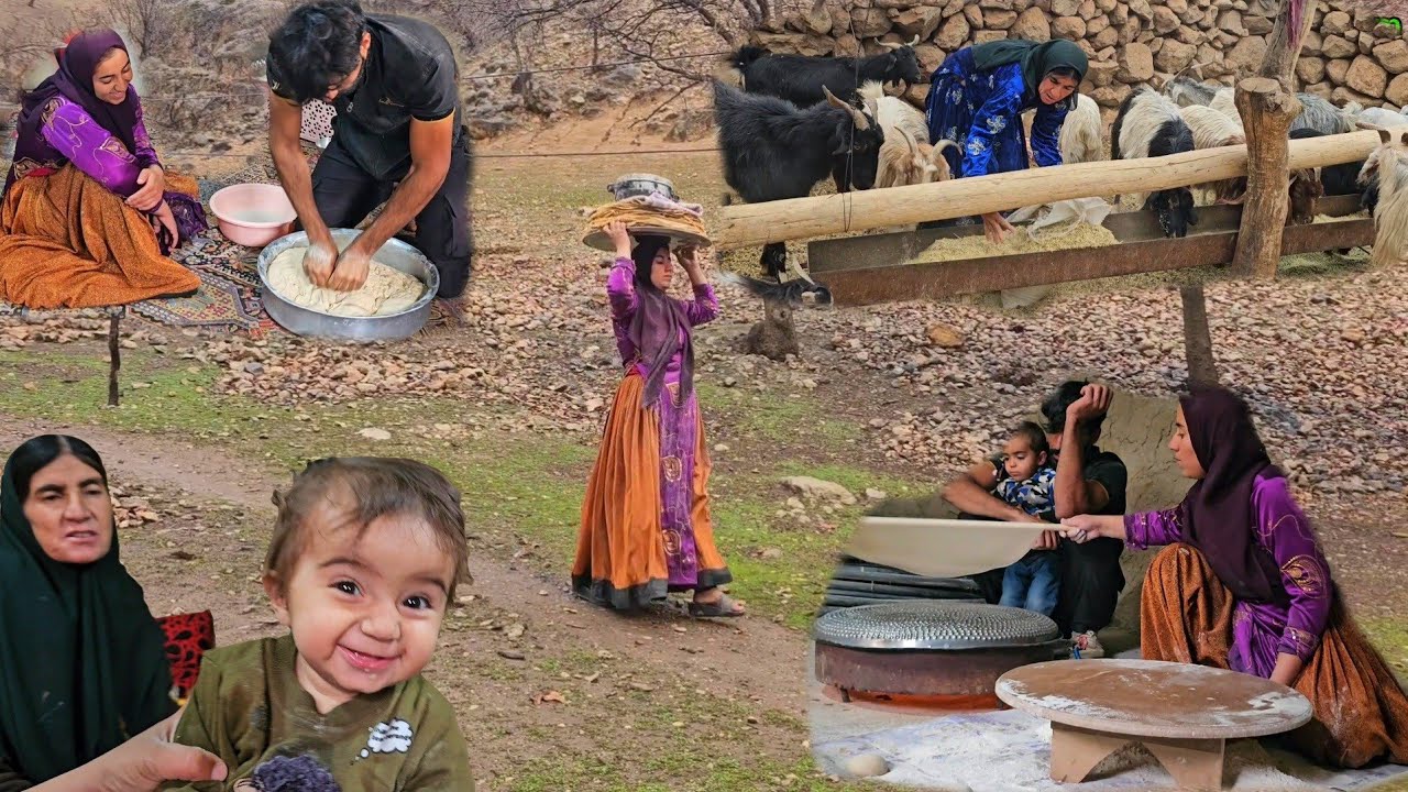Nomadic life, baking bread and cleaning oak trees, taking care of sheep on a stormy day ⛈️🥖🐑»