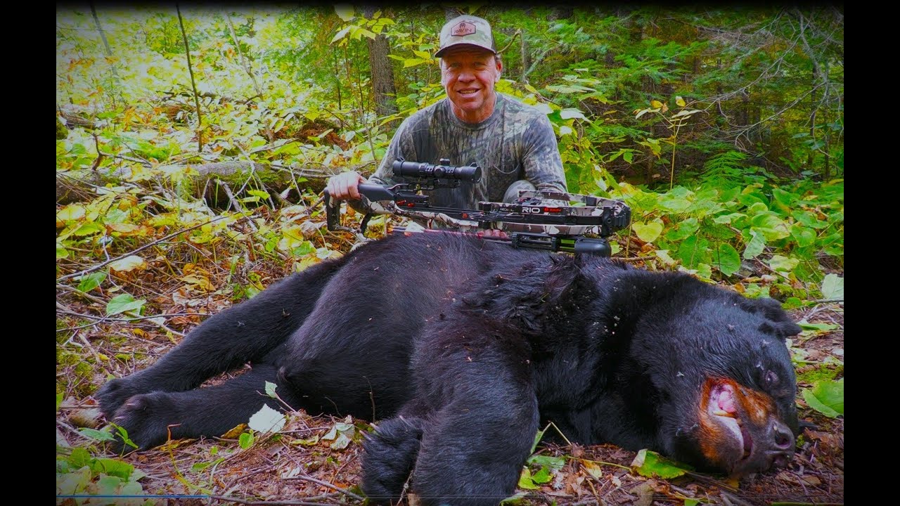Scouting post season trophy bear sign
