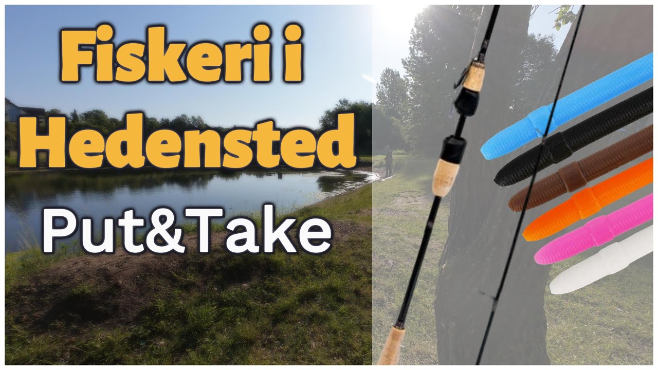 HEDENSTED Put & Take i Sommervarme – Svære Fisk & Første Video! 🎣