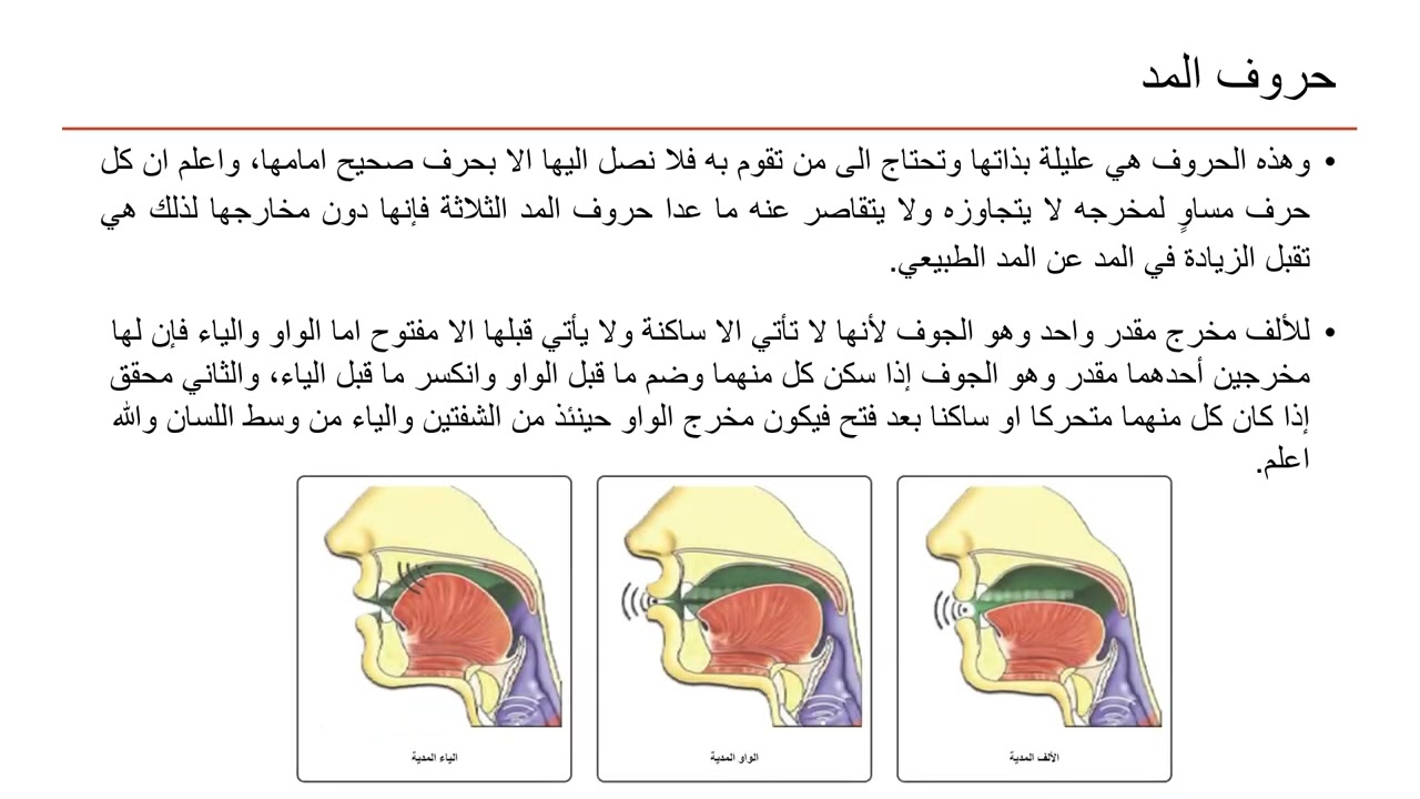 الدرس الثالث(مخرج الجوف ومخرج الحلق - حروف المد والهمزة والهاء والعين والحاء والغين والخاء) مهدي حسب