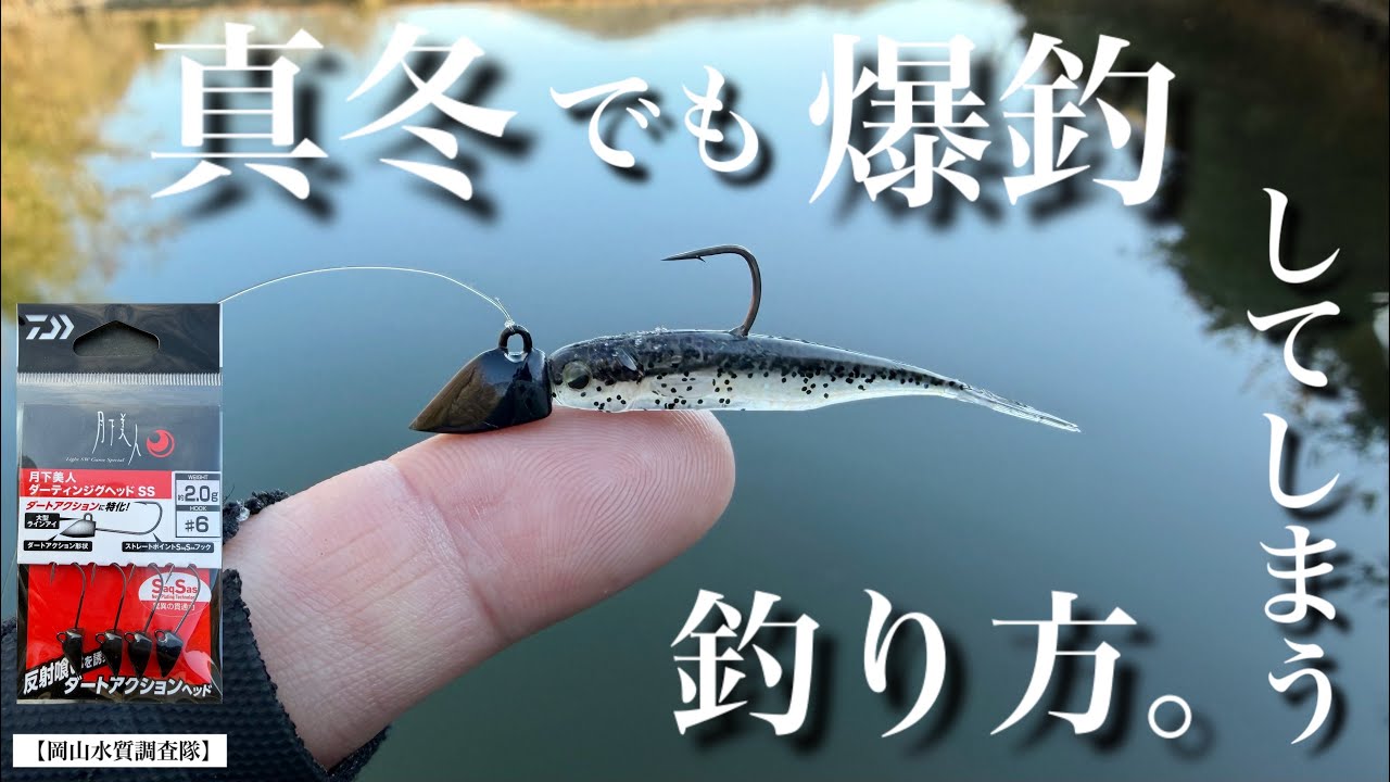 【真冬のバス釣り】マイクロワインド！難しいはずの真冬の釣りがこれひとつで超簡単になってしまった釣り方。月下美人ダーティンジグヘッドSS  ライトゲーム　フィッシュローラーマイクロ　『おすすめの使い方』