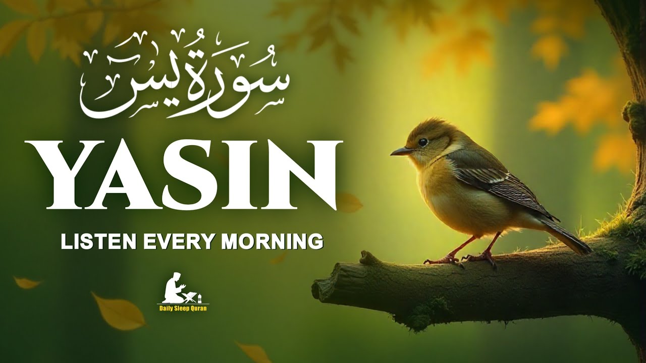 Surah Yasin (سورة يس) Listen Every Morning | Heart Touching Quran | Morning Quran | Abdullah Saban