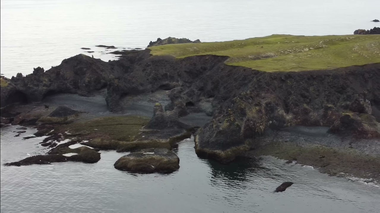Dj&uacute;pal&oacute;nssandur Lava Soil and Black Sand Beach