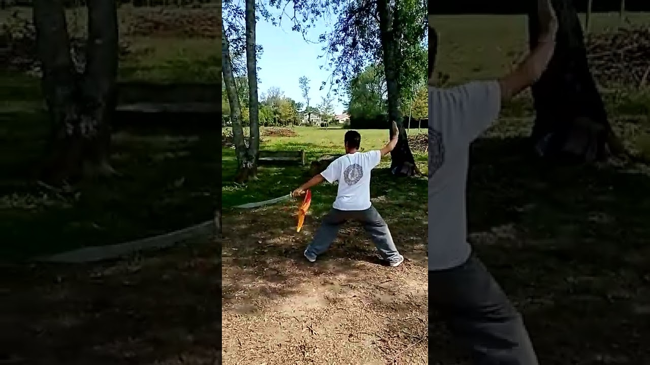 tao sabre kung-fu Zang shi tao pu.