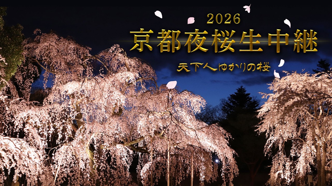 【KBS京都/BS11】京都夜桜生中継2026～天下人ゆかりの桜～／出演：近藤芳正、木下昌輝、髙橋　拓児、海平和（2026年4月1日放送）