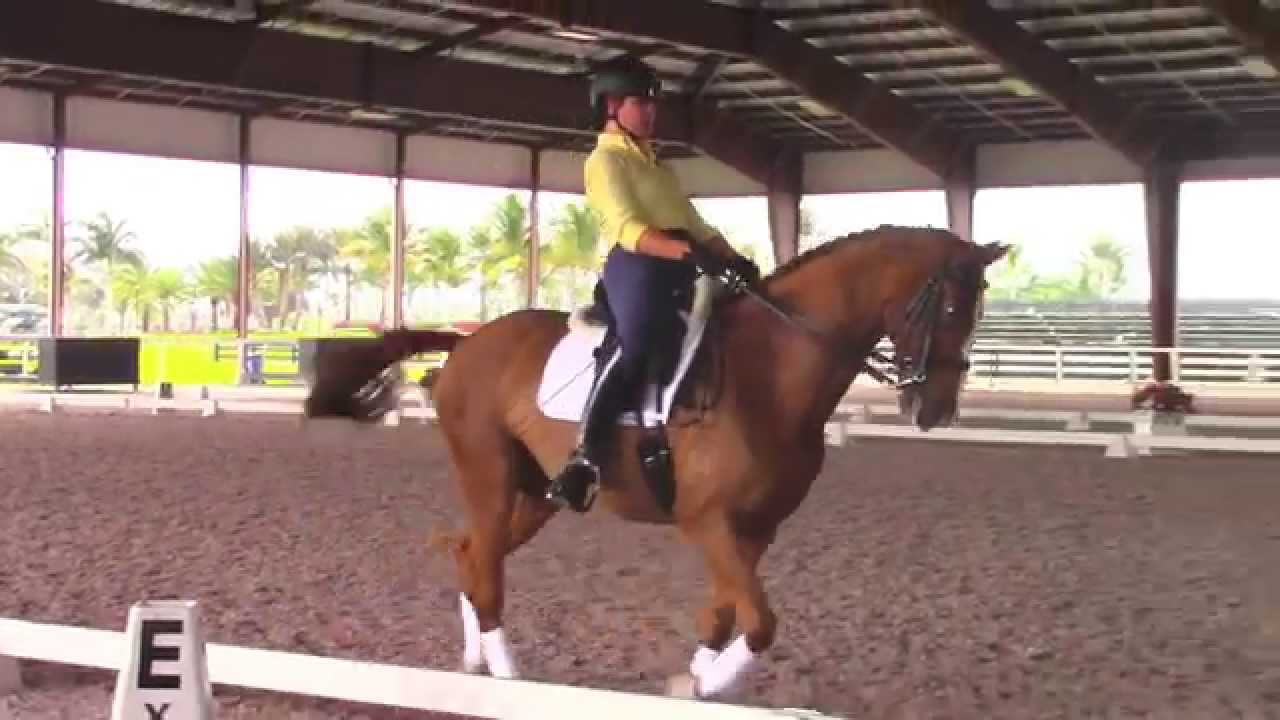 Collecting the Canter with Debbie McDonald