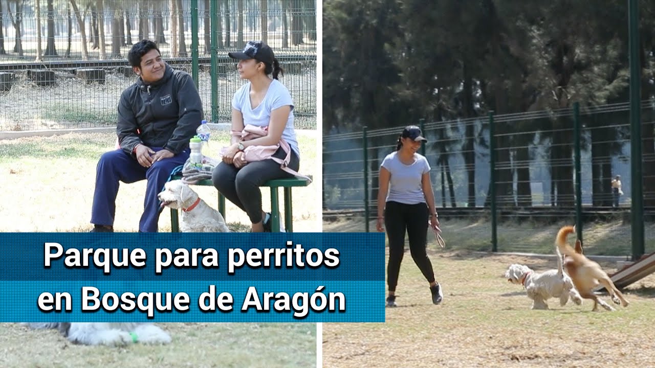 Parque canino. Pasea y diviértete junto a tu “lomito”