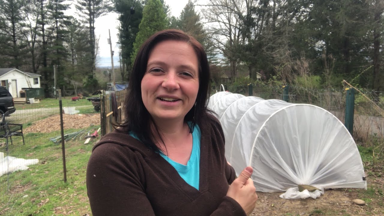 Low Tunnel On a BUDGET | How To Build A Greenhouse Low Tunnel