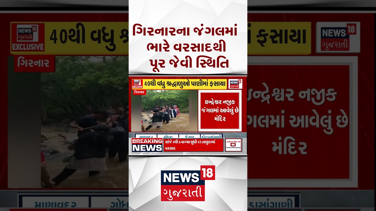 Junagadh Rain | ગીરનારના જંગલમાં ભારે વરસાદથી પૂર જેવી સ્થિતિ | Flood | Heavy Rain | Water Logging