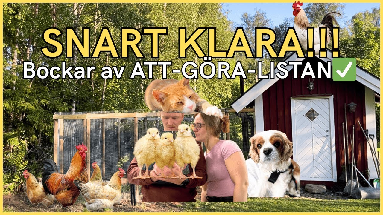 Snart F&Auml;RDIGT H&Ouml;NSHUS! BOCKAR av ATT-G&Ouml;RA-LISTAN!✅Del 4 av v&aring;r MINI-SERIE om H&Ouml;NS!🐔🐓🐤🐣🐥- VLOGG!