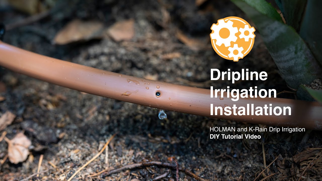 How to Install Holman Dripline Irrigation from a Popup Sprinkler