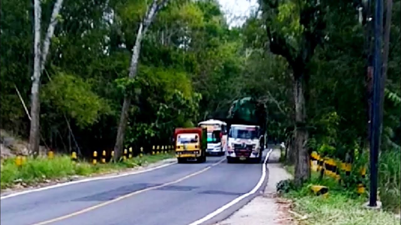 Lkw und Busse überholen gemeinsam