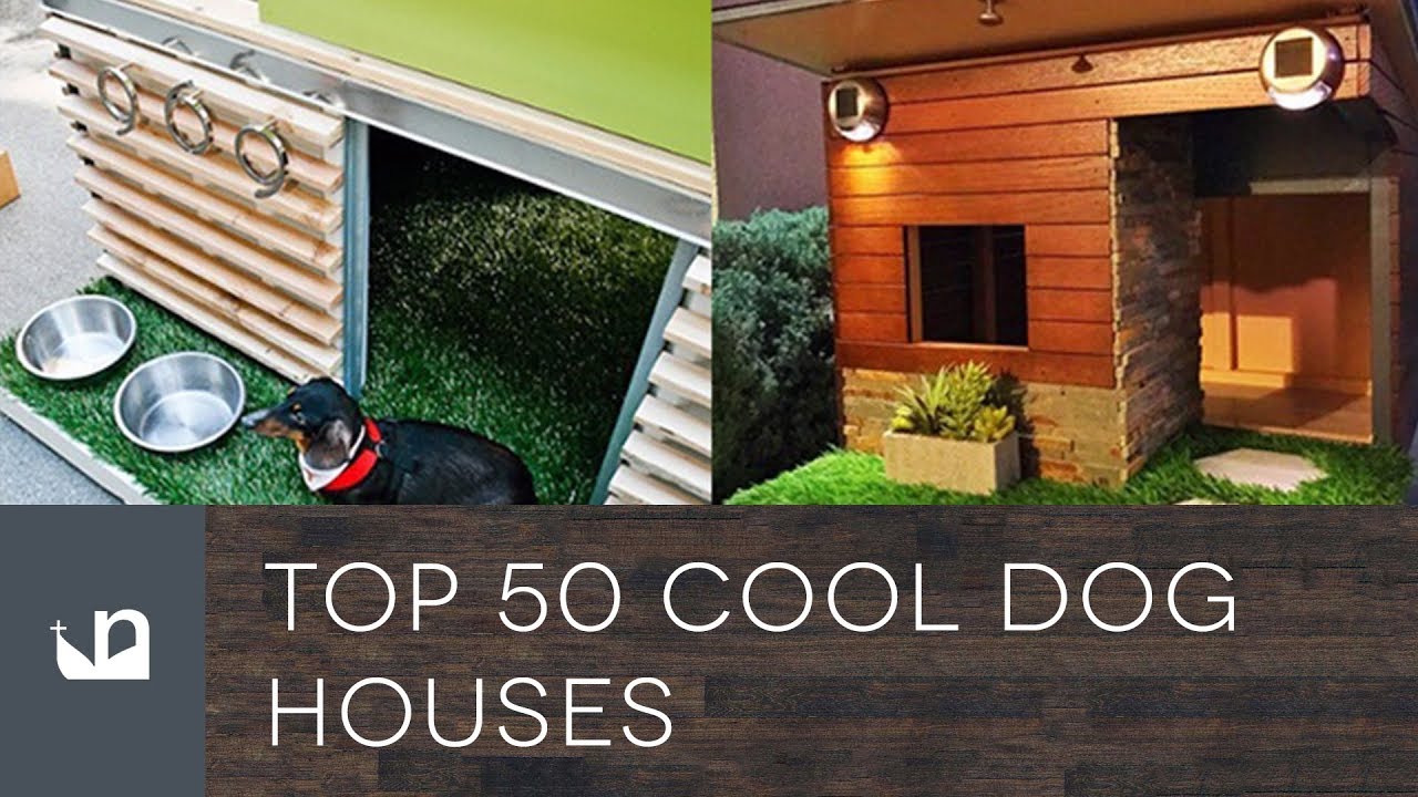 Top 50 Cool Dog Houses