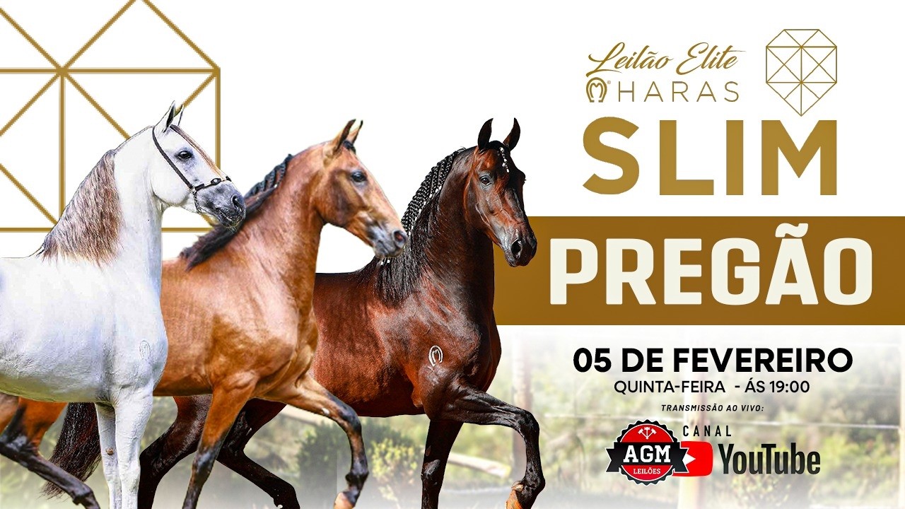 LEILÃO ELITE HARAS SLIM - PREGÃO