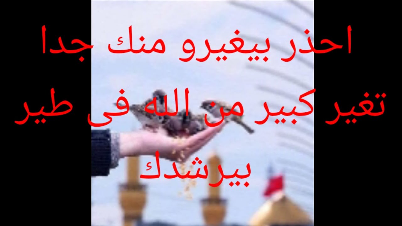 احذر بيغيرو منك جدا والبشر تغير كبير من الله فى طير فى طريقك بيرشدك🕊️
