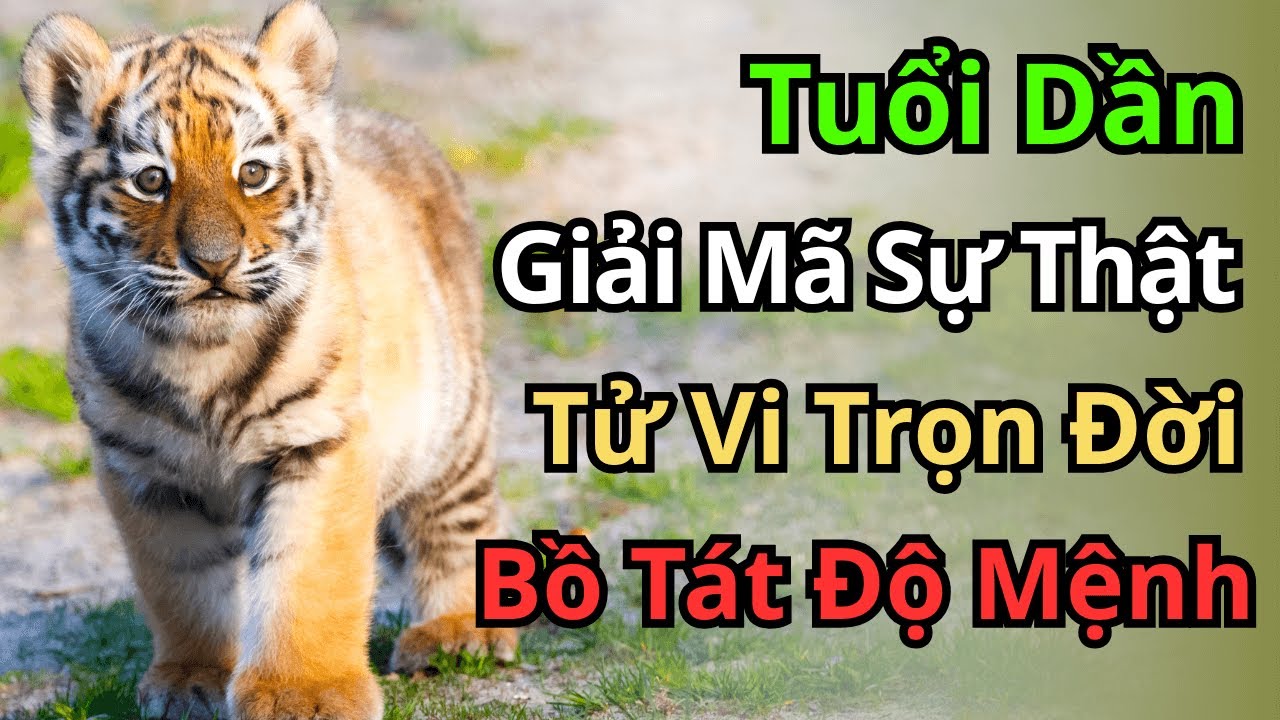 Phật Bản Mệnh Tuổi Dần: Bí Mật Về Hư Không Tạng Bồ Tát & Cách Kích Hoạt Vận May Trọn Đời