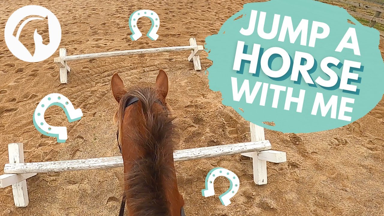 Types Of Horse Jumps | GoPro