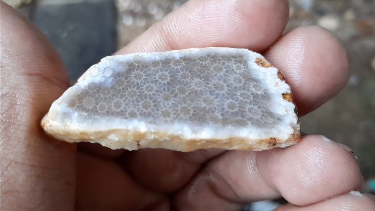 cocok untuk cewe membuat buah kalung dari batu fosil teratai