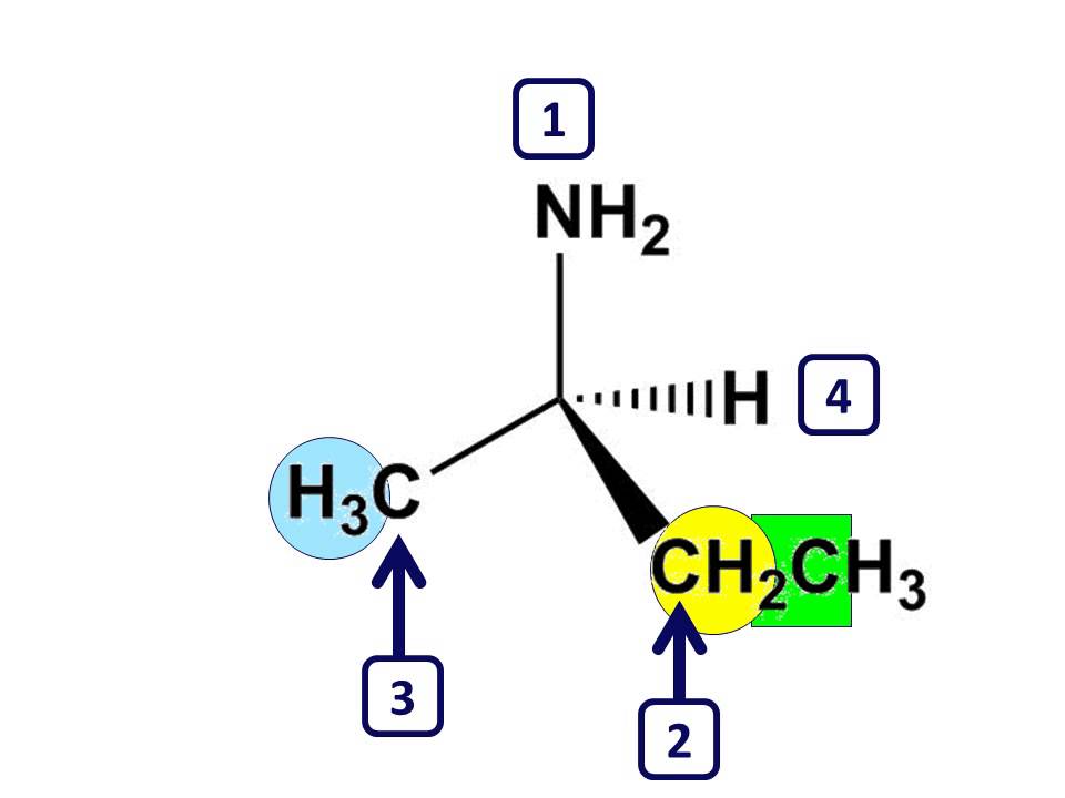 Organic Chemistry - Assigning Priority