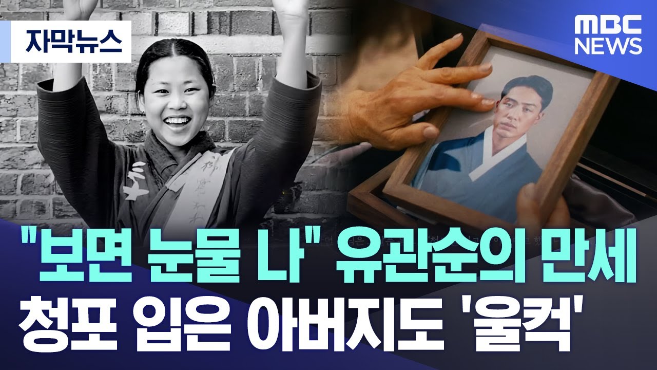 [자막뉴스] 