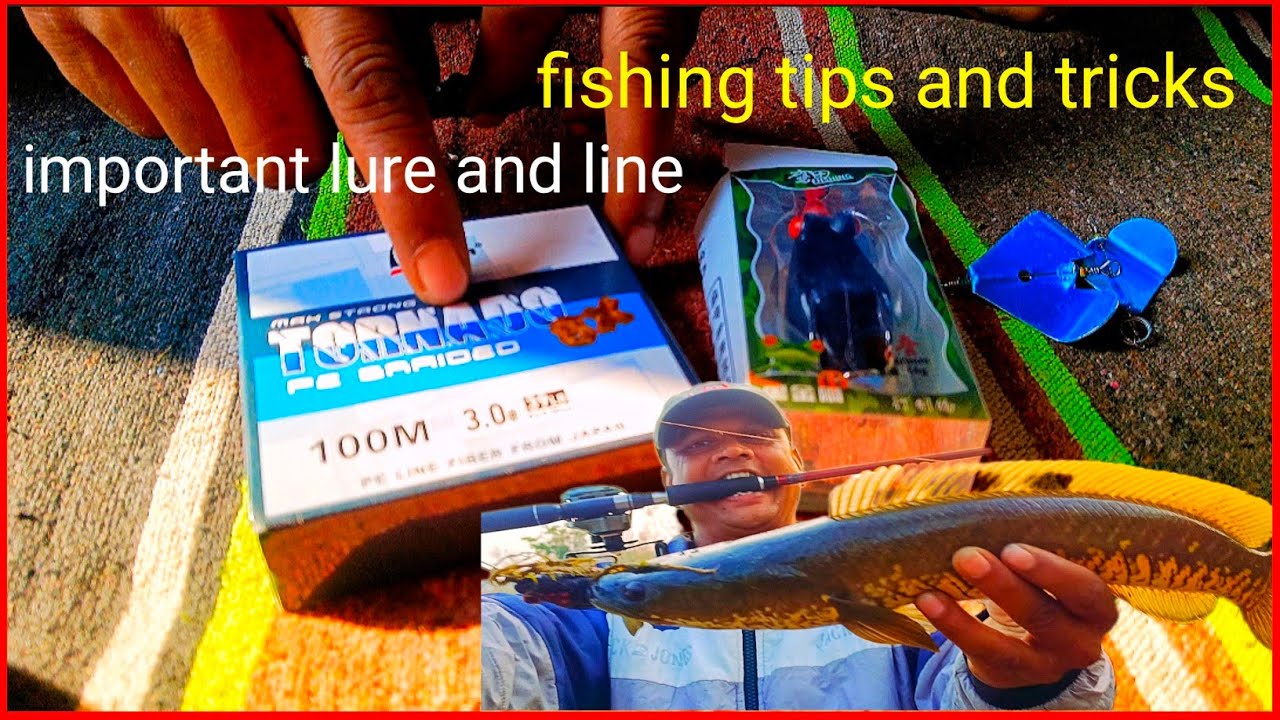 Big fish catching line and lure unboxing 🦈 fishing tips and tricks 🎣 #fishing #viral #trending #lure
