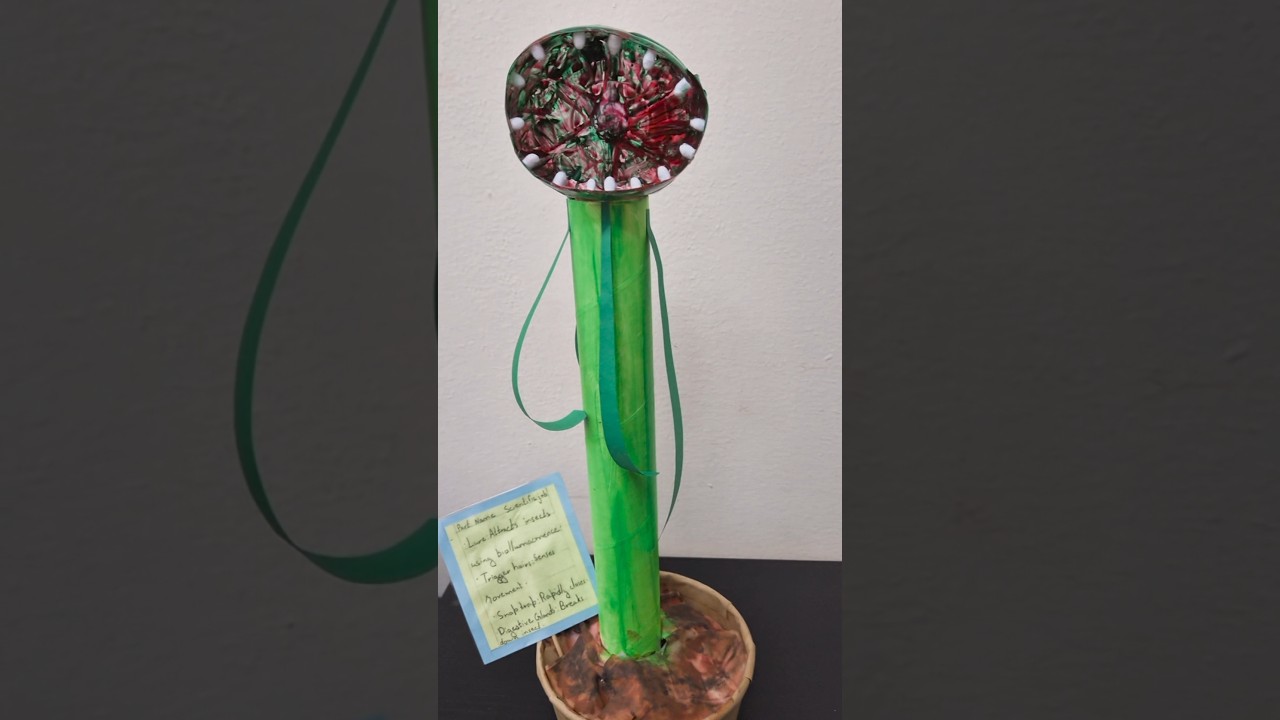 “Science Meets Art 🧠🎨 | Carnivorous Plant from Best Out of Waste”