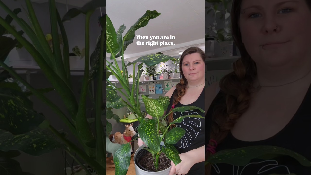 Are you in the right place?#plantlover #planthobby