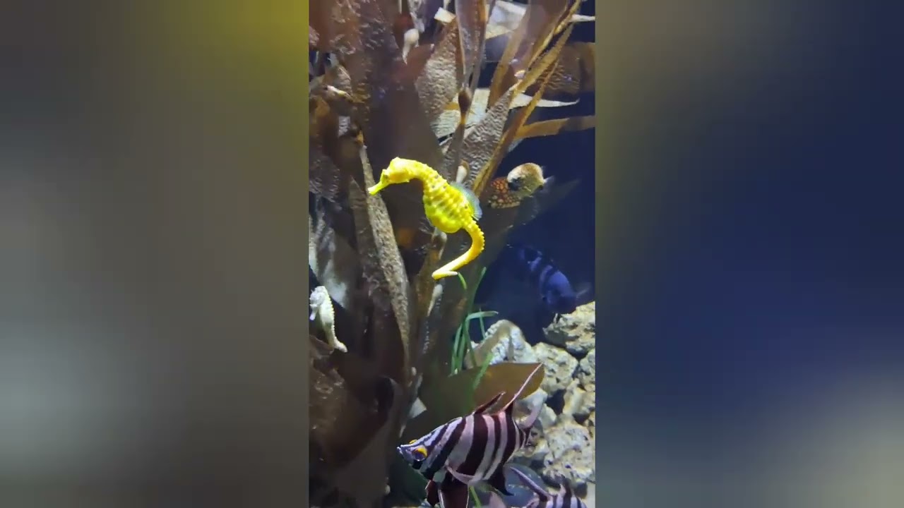 Zoo day in Omaha 