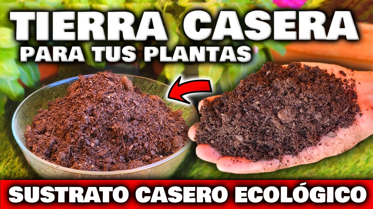 ¡REVELADO! Fabrica tu propia TIERRA CASERA o SUSTRATO CASERO para PLANTAS GRATIS | Abono para Jardín
