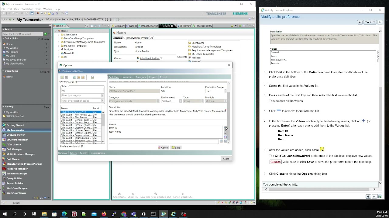 How to modify a site preference in Teamcenter Rich Client