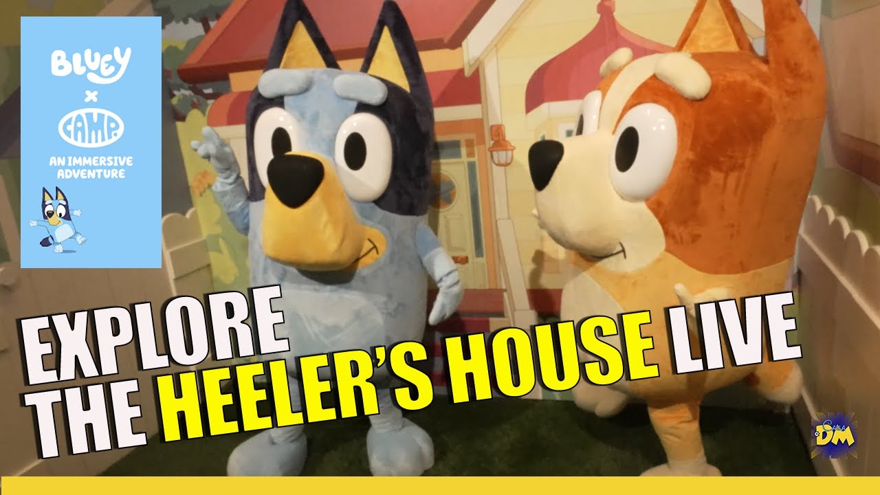 FULL TOUR! Bluey x Camp: Explore the Heeler's House LIVE! | Disney Channel