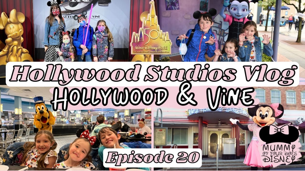 Hollywood and Vine Disney World Character Dining Vlog 🏰 Hollywood Studios At Night