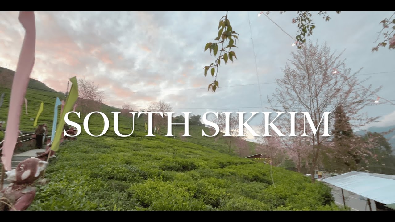 South Sikkim Vlog | DAY 2 | Buddha Park • Char Dham • Tea Gardens | Majestic Night View 🌙✨