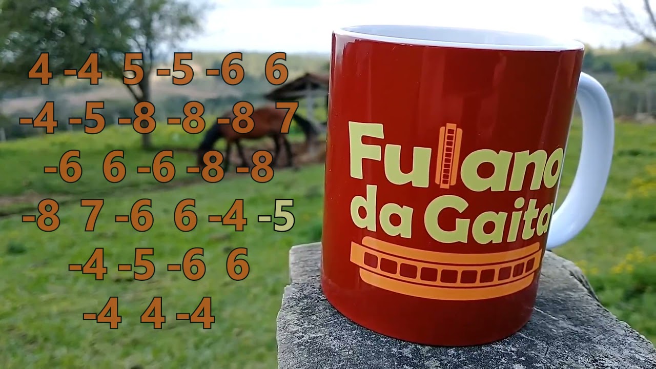 Pratique a música The House of The Rising Sun - Fulano da Gaita