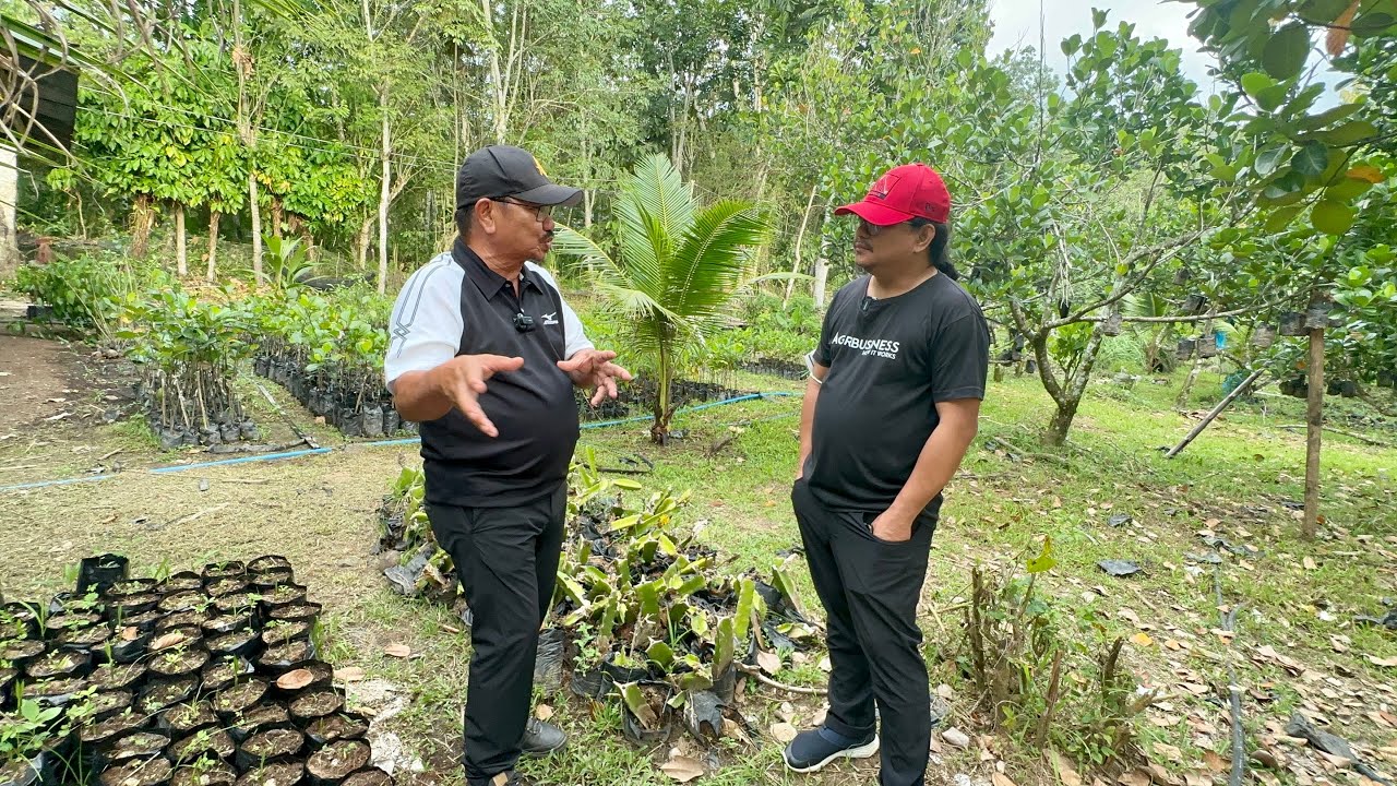Manny Piñol: Biggest Problem in Philippine Agriculture? Solusyunan para Kumita Farmers