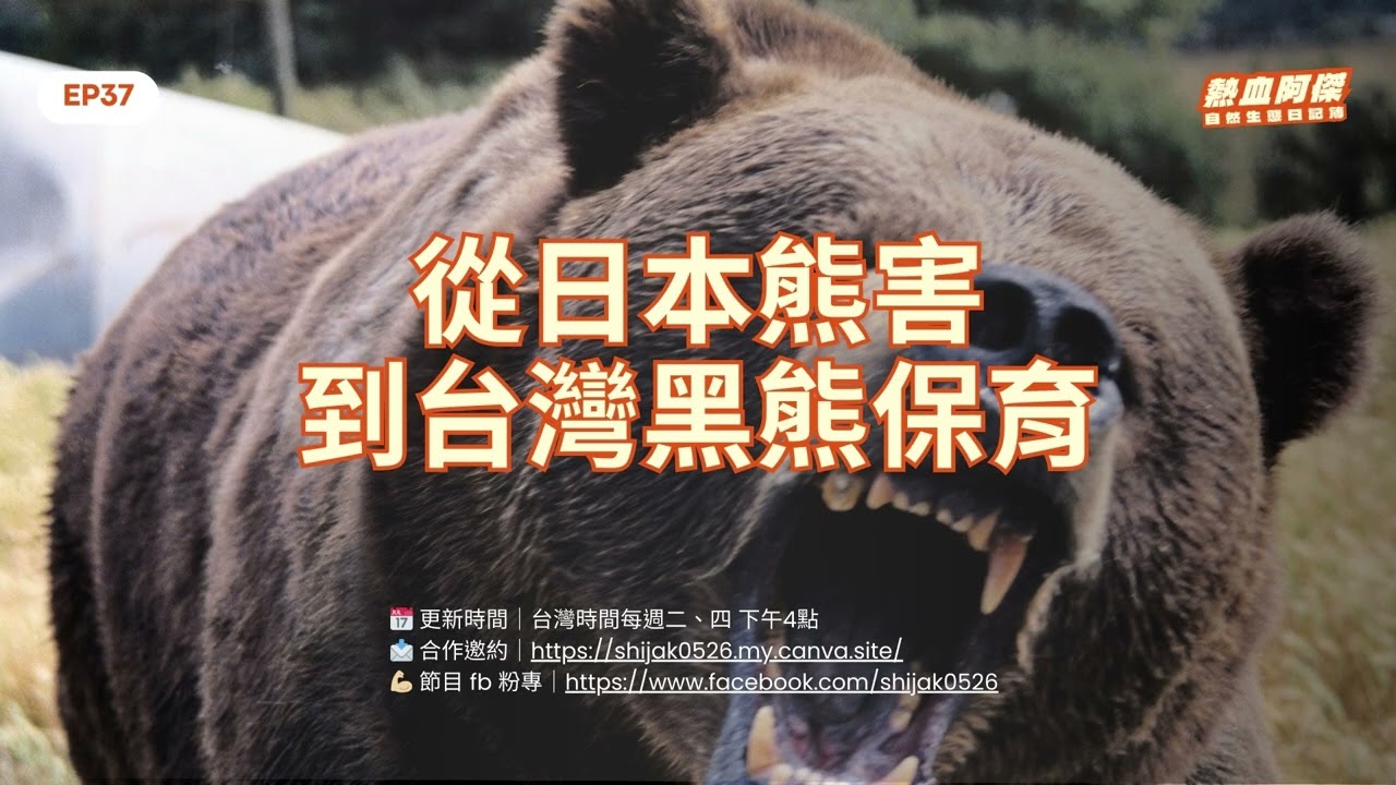 EP37 從日本熊害到台灣黑熊保育｜熱血阿傑的自然生態日記簿