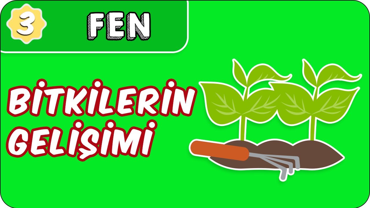 Bitkilerin Gelişimi  | 3. Sınıf Fen evokul Kampı
