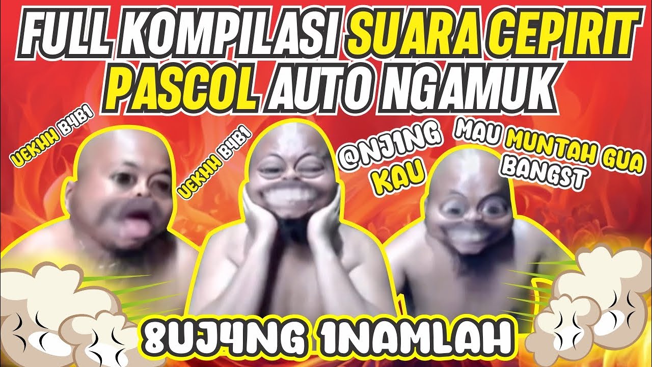 FULL KOMPILASI SUARA CEPIRIT, PASCOL AUTO NGAMUK BANTING KAMERA