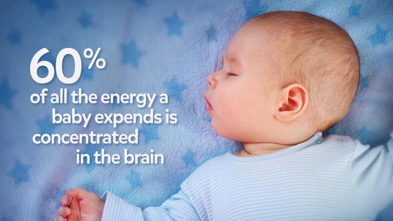 Brain Development