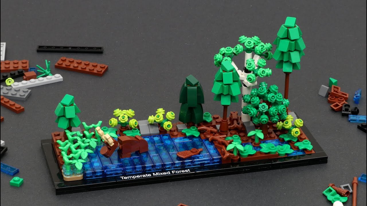 Building Biomes 2 &bull; Temperate Mixed Forest