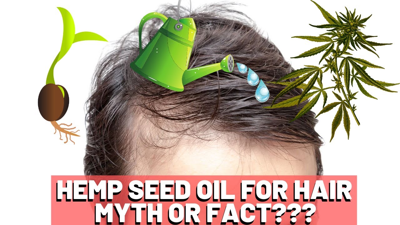 Hemp Seed Oil Hair Growth - MYTH or FACT?