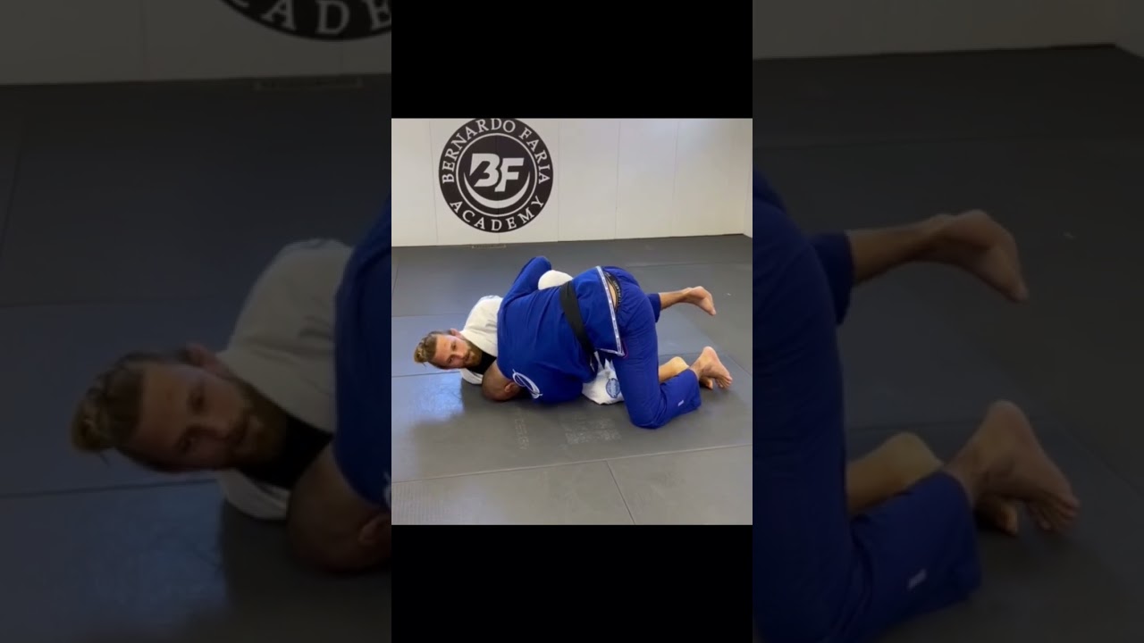 «Butterfly Sweep» Адама Вардзински