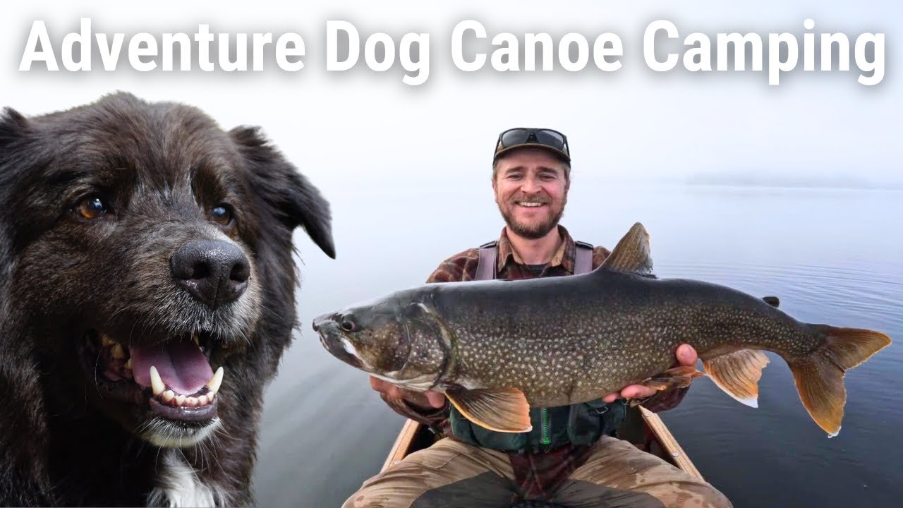 Solo Canoe Camping with My Adventure Dog | 3-Day Wilderness Fishing Adventure in Quetico