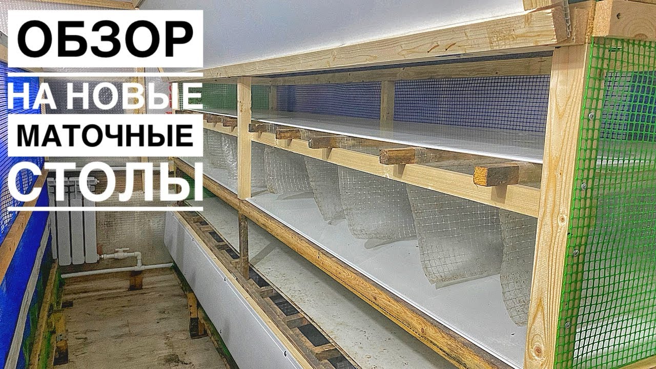Апгрейд маточных столов для Улитки 🐌 Как увеличить маточник в 2 раза! Улиточная Ферма
